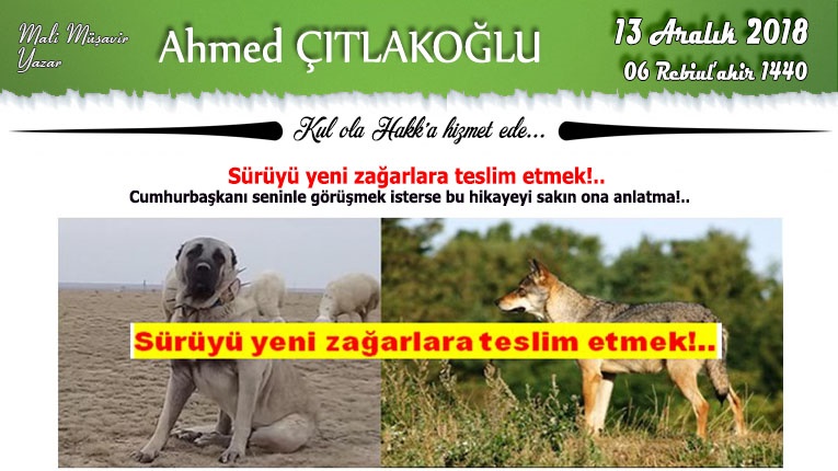 Suruyu Yeni Zagarlara Teslim Etmek Ahmed Citlakoglu Kisisel Web Sayfasi